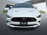 Used 2022 Ford Mustang Premium image 2