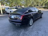 Used 2020 Cadillac CT5 Luxury w/ Sun And Sound Package image 3