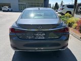 Certified 2024 Lexus ES 250 w/ Premium Package image 6