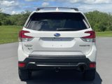 Used 2019 Subaru Forester Limited w/ Popular Package #3 image 4