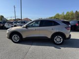 Certified 2020 Ford Escape SE image 2
