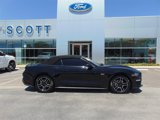 Certified 2021 Ford Mustang Premium image 3