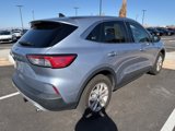 Used 2022 Ford Escape SE image 5