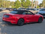 Used 2018 Ford Mustang Premium w/ Equipment Group 201A image 5