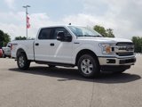 Used 2019 Ford F150 XLT image 3