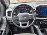 Used 2022 Ford F150 XLT w/ Equipment Group 302A High image 3