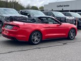 Used 2017 Ford Mustang Premium image 2