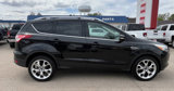 Used 2013 Ford Escape Titanium w/ Parking Technology Pkg image 6