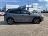 Used 2024 Ford Escape ST-Line w/ Cold Weather Package image 6