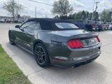 Used 2018 Ford Mustang Premium image 2
