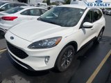 Used 2020 Ford Escape Titanium image 2