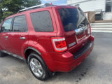 Used 2011 Ford Escape Limited w/ 302A Rapid Spec Order Code image 4