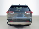 Used 2019 Toyota RAV4 XSE image 5