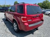 Used 2011 Ford Escape XLT w/ 202A Rapid Spec Order Code image 3