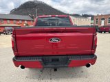 New 2025 Ford F150 XLT w/ Equipment Group 302A MID image 4
