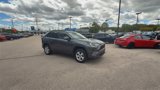 Used 2020 Toyota RAV4 XLE image 3