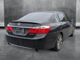 Used 2013 Honda Accord Sport image 5