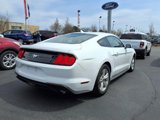 Used 2021 Ford Mustang Coupe image 5