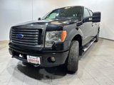 Used 2012 Ford F150 XLT w/ XLT Chrome Pkg image 3