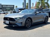 Used 2022 Ford Mustang Premium image 4