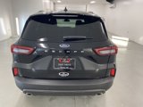 New 2025 Ford Escape Active w/ Active Premium Tech Pack image 6