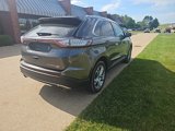 Used 2015 Ford Edge Titanium image 4
