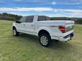 Used 2013 Ford F150 Platinum image 3
