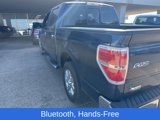 Used 2013 Ford F150 XLT w/ Luxury Equipment Group image 5