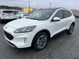 Used 2020 Ford Escape SEL image 3