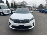 Used 2019 Kia Sorento EX w/ EX Touring Package image 2