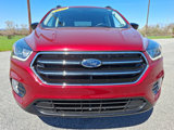 Certified 2019 Ford Escape SE image 2