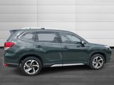 Used 2024 Subaru Forester Touring w/ POP Package 3 image 6