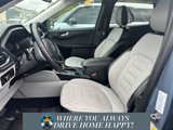 Used 2023 Ford Escape Platinum w/ Premium Technology Package image 5