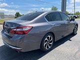 Used 2016 Honda Accord EX image 4