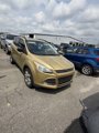 Used 2014 Ford Escape SE w/ Equipment Group 201A image 3