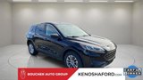 Certified 2022 Ford Escape SE image 4