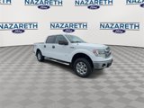 Used 2014 Ford F150 XLT w/ Equipment Group 302A Luxury image 2
