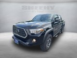 Used 2019 Toyota Tacoma TRD Off-Road image 5