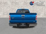 Used 2010 Ford F150 XLT image 5