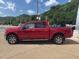 Used 2020 Ford F150 XLT w/ Equipment Group 302A Luxury image 4