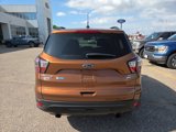 Used 2017 Ford Escape SE w/ SE Sport Appearance Package image 4