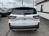 Used 2022 Ford Escape SE w/ Convenience Package image 4