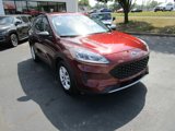 Used 2021 Ford Escape S image 4
