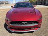Used 2019 Ford Mustang Coupe image 2