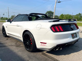 Used 2016 Ford Mustang GT Premium w/ Equipment Group 401A image 3