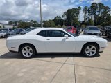 Certified 2023 Dodge Challenger SXT image 2