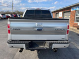 Used 2010 Ford F150 Platinum image 6