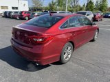 Used 2016 Hyundai Sonata SE image 3