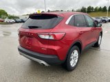 Used 2022 Ford Escape SE w/ Convenience Package image 3
