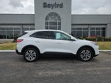 Used 2022 Ford Escape SEL image 6